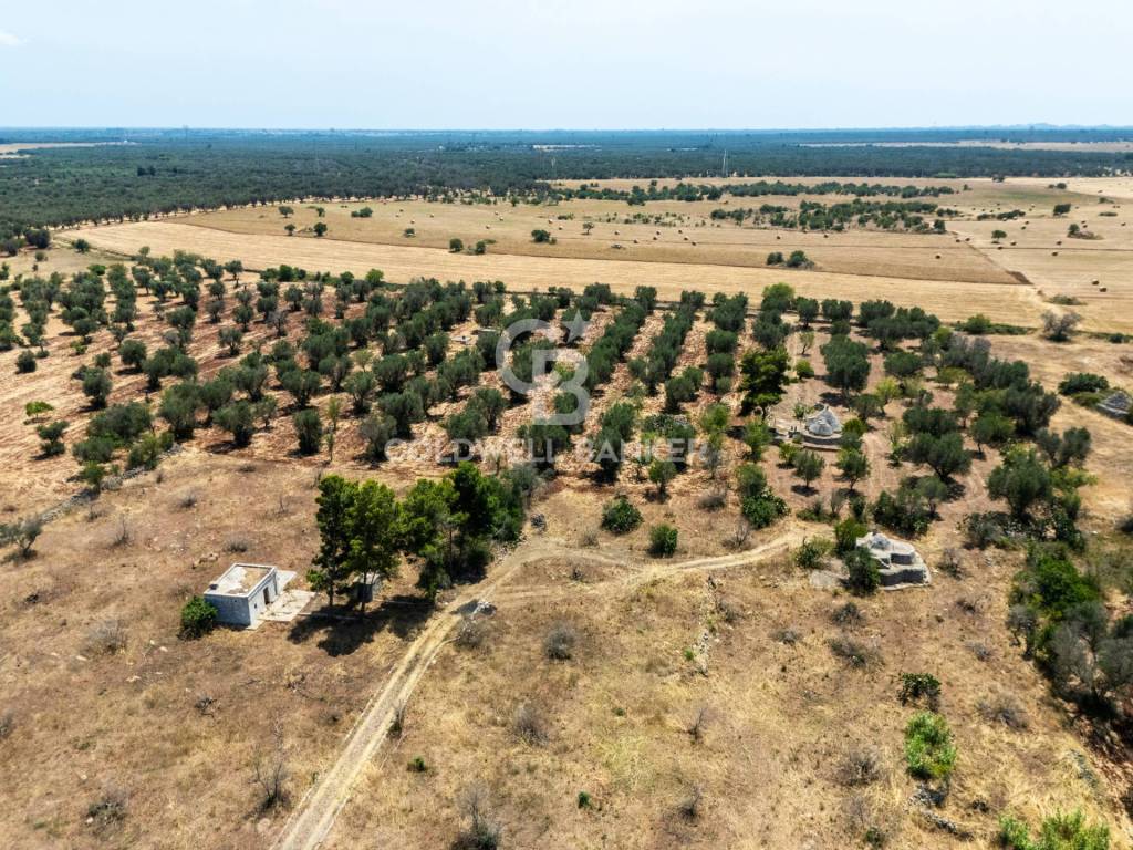 immagine annuncio 11 di 13