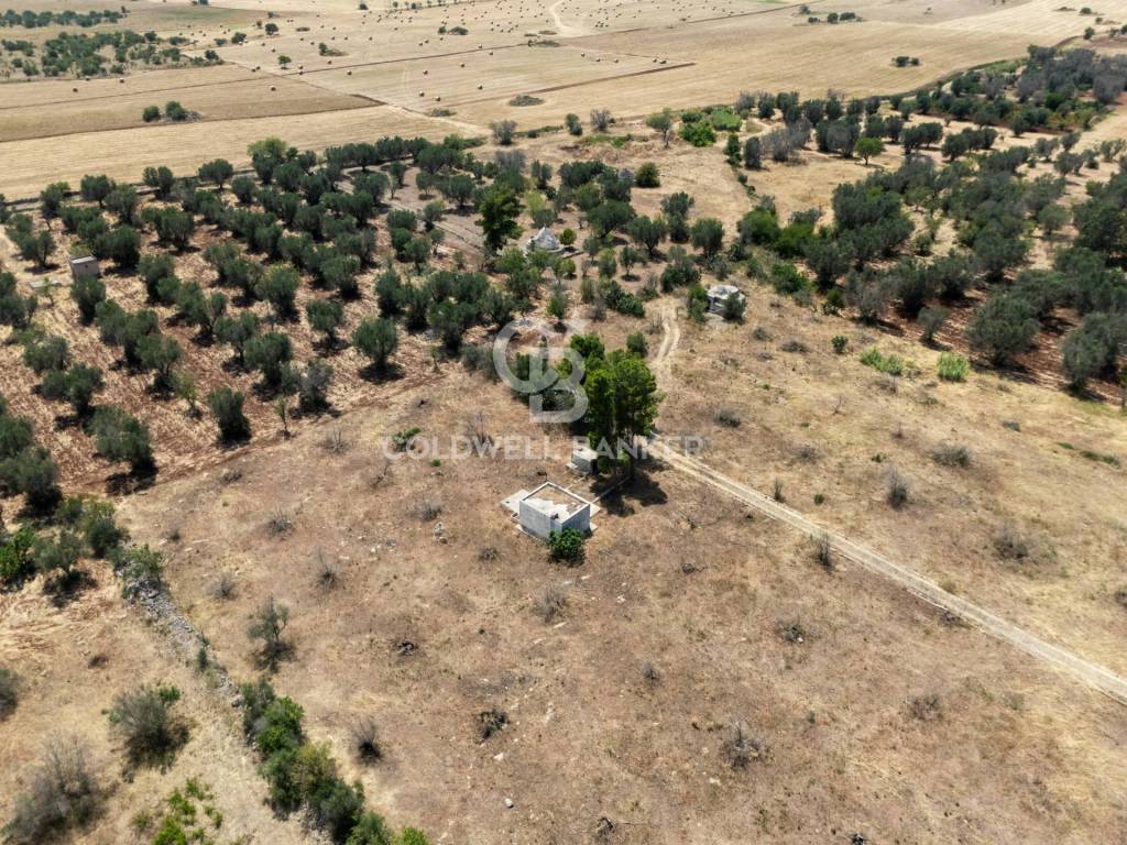 immagine annuncio 12 di 13