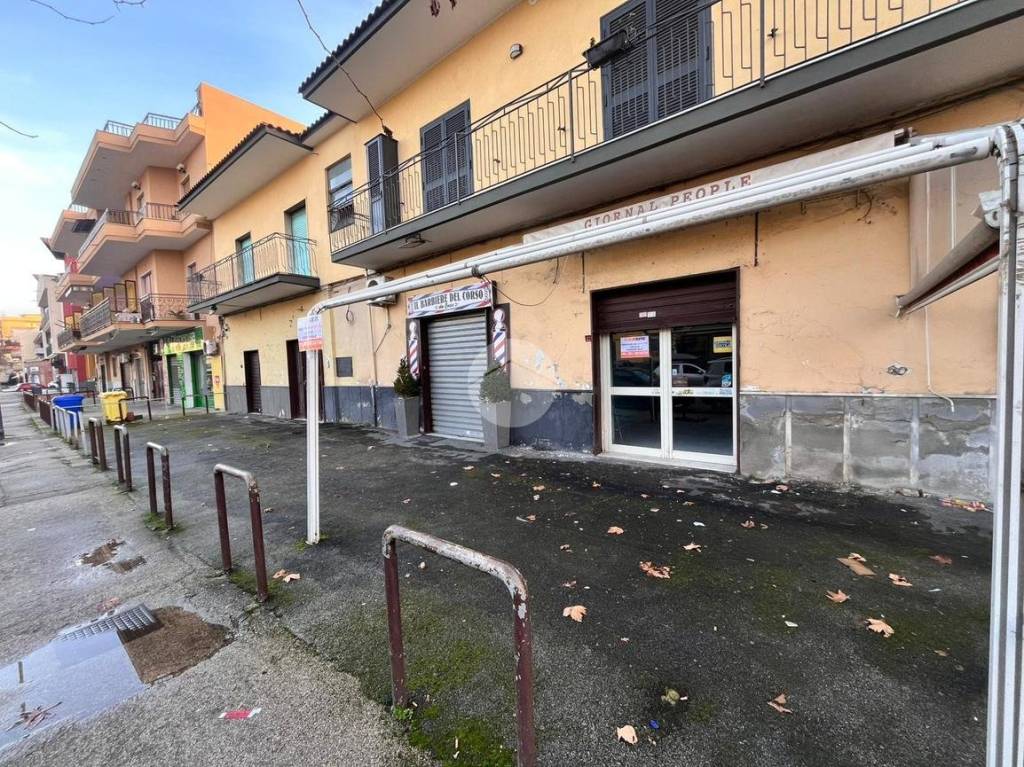 immagine annuncio 3 di 11