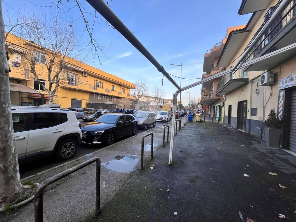 immagine annuncio 4 di 11