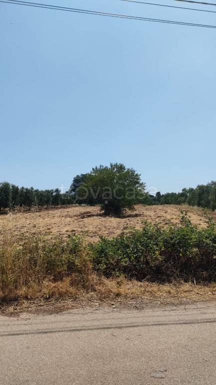 immagine annuncio 1 di 2