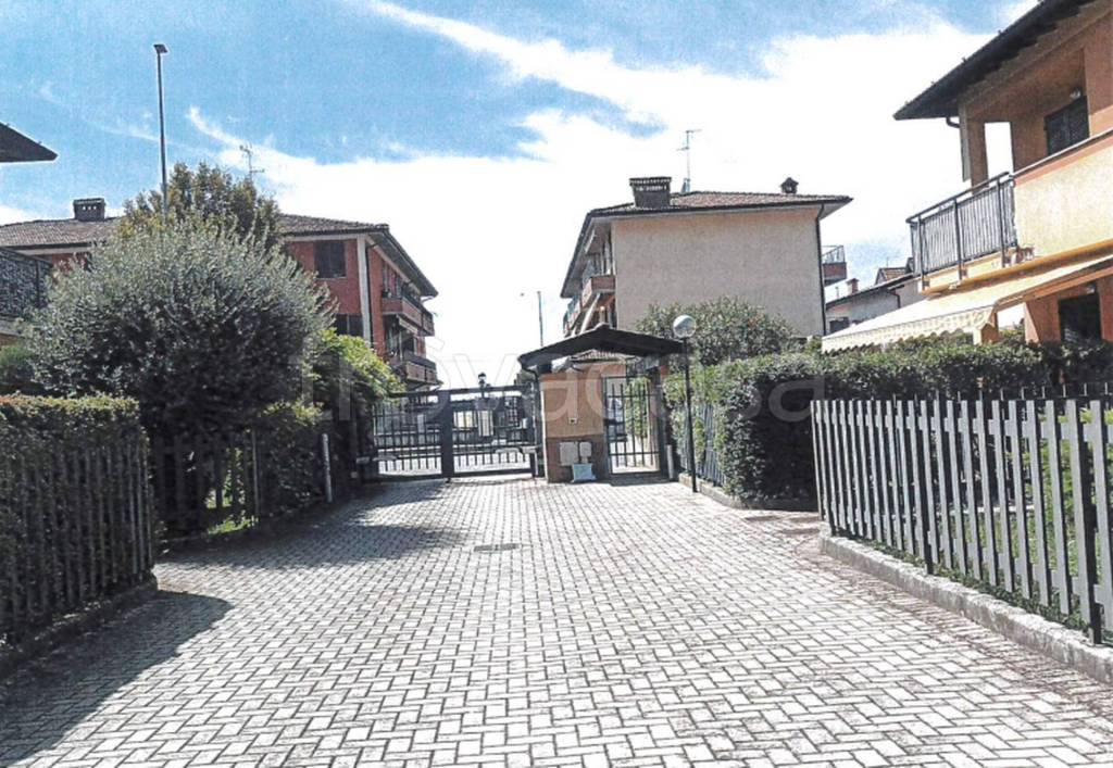 immagine annuncio 4 di 15