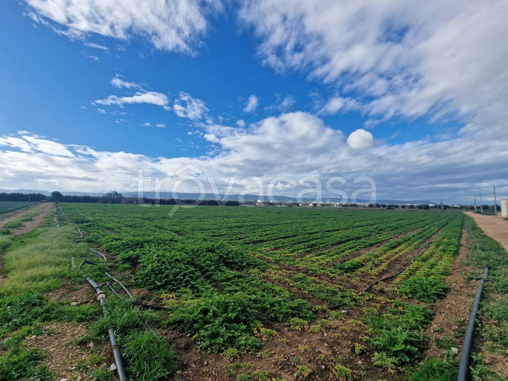 immagine annuncio 4 di 13