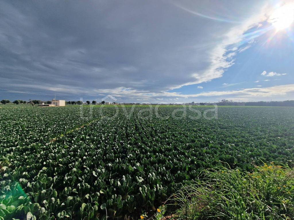 immagine annuncio 6 di 13