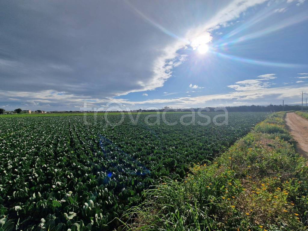 immagine annuncio 7 di 13