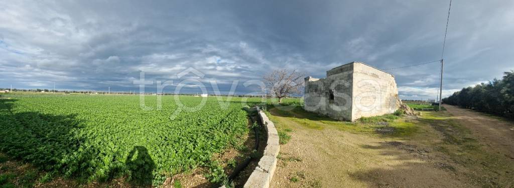 immagine annuncio 12 di 13