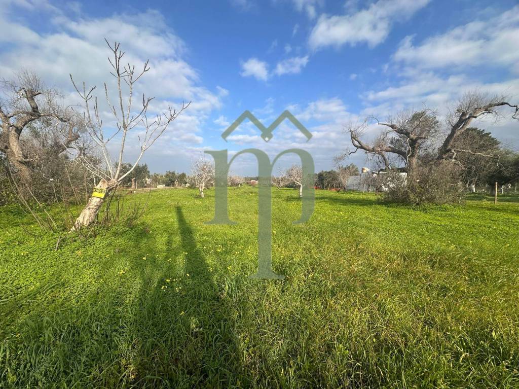 immagine annuncio 1 di 9