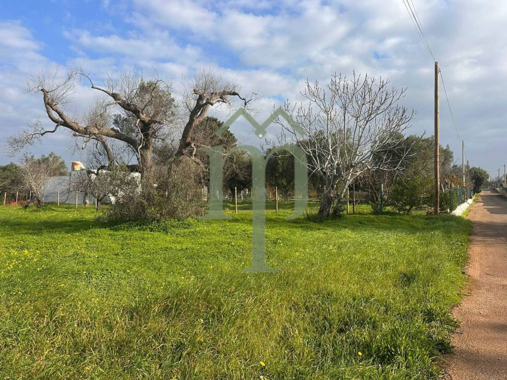 immagine annuncio 2 di 9