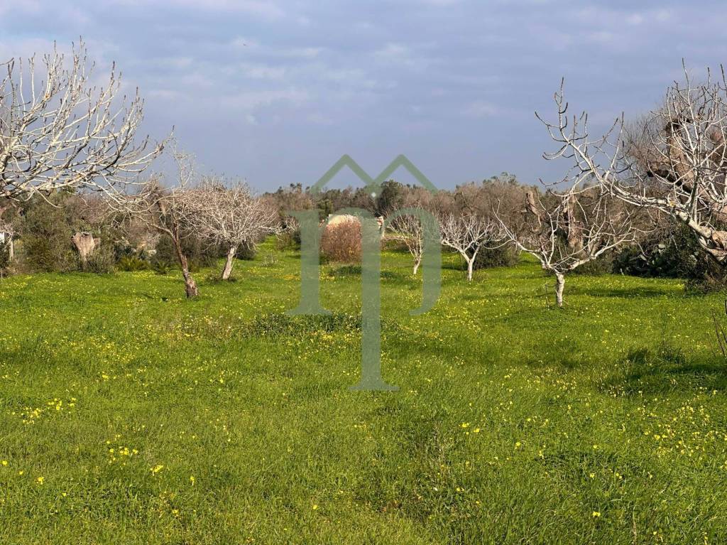 immagine annuncio 3 di 9