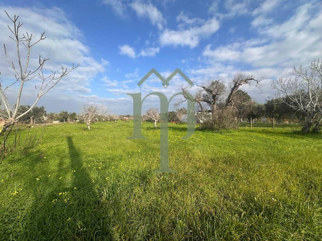 immagine annuncio 4 di 9