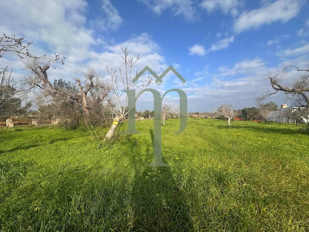 immagine annuncio 5 di 9