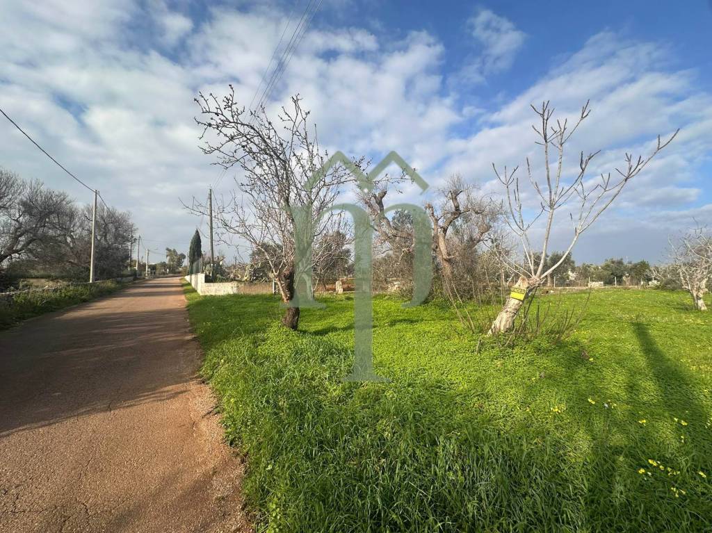 immagine annuncio 6 di 9