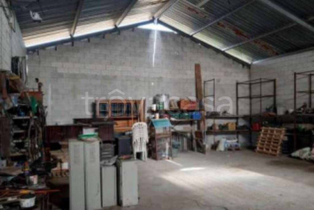 immagine annuncio 2 di 11