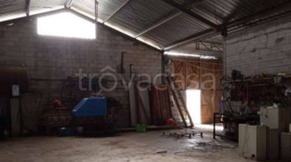 immagine annuncio 4 di 11