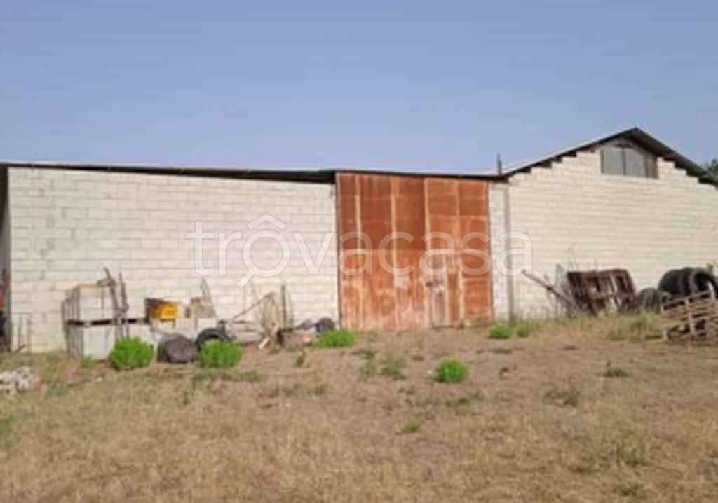 immagine annuncio 5 di 11