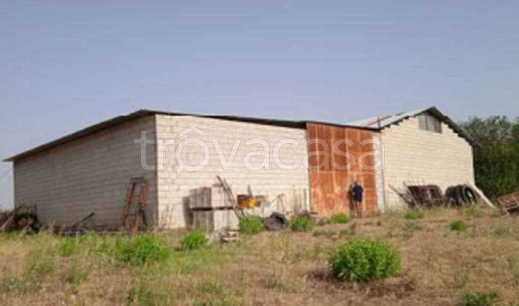 immagine annuncio 6 di 11