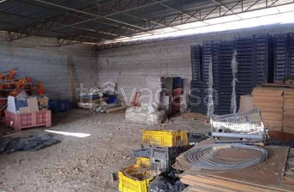 immagine annuncio 9 di 11