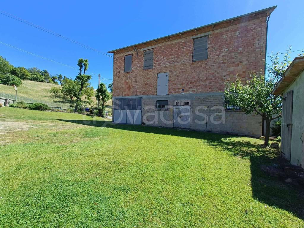 immagine annuncio 2 di 12