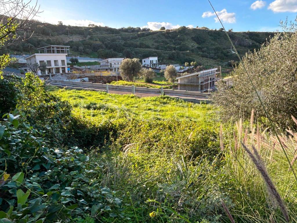 immagine annuncio 3 di 8