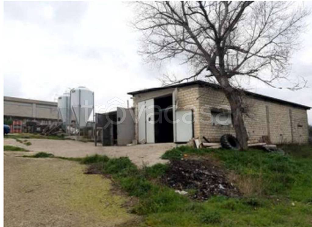 immagine annuncio 4 di 11