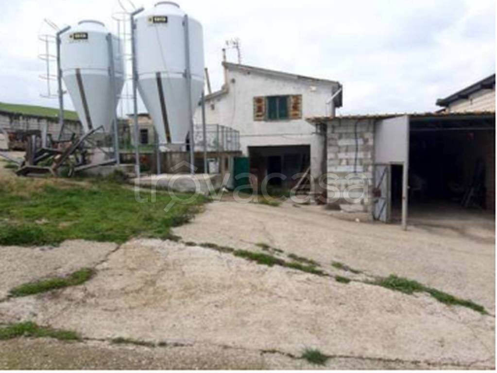 immagine annuncio 5 di 11