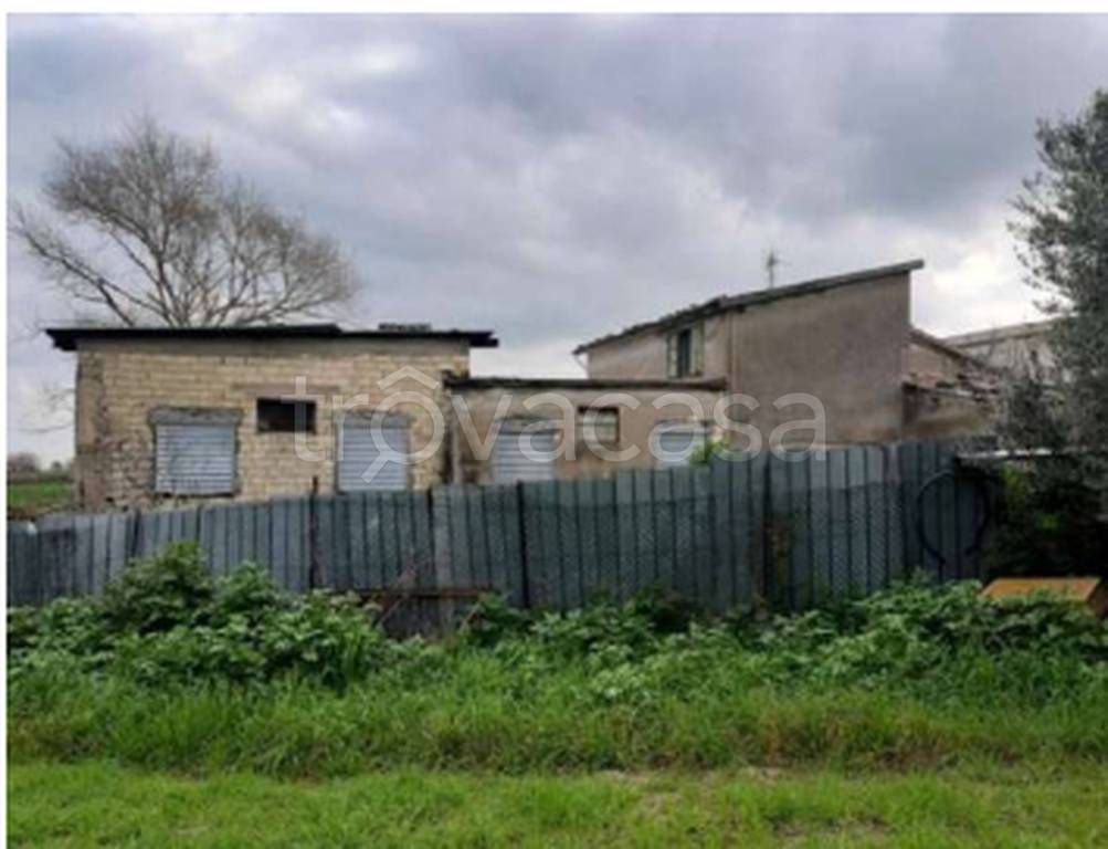 immagine annuncio 6 di 11