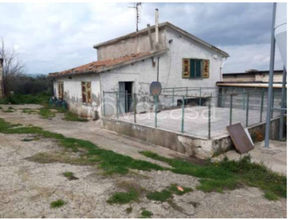 immagine annuncio 7 di 11