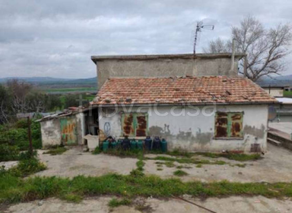 immagine annuncio 10 di 11