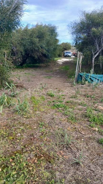 immagine annuncio 8 di 11