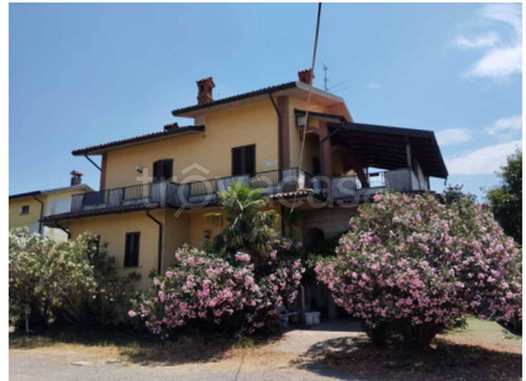 immagine annuncio 1 di 11