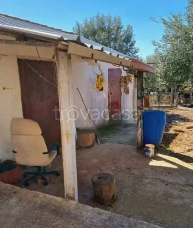 immagine annuncio 7 di 13