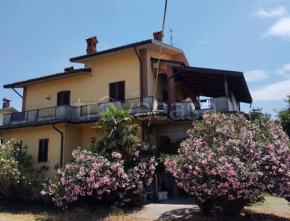 immagine annuncio 4 di 11