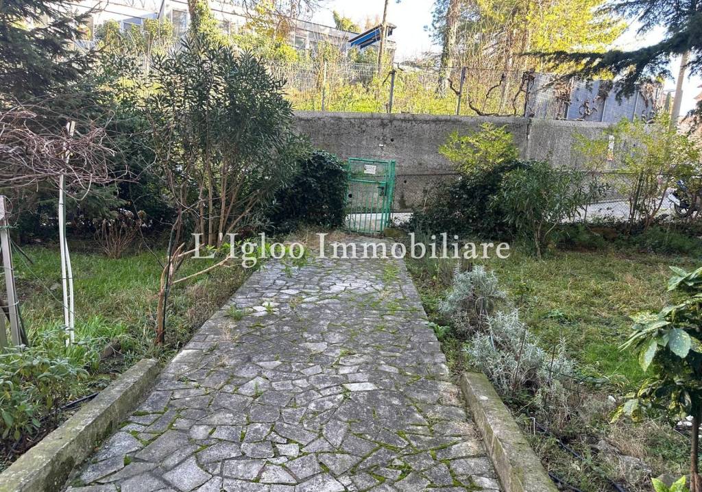 immagine annuncio 8 di 11