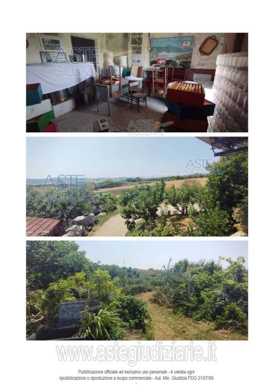 immagine annuncio 5 di 12