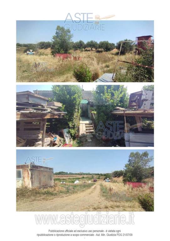 immagine annuncio 7 di 12