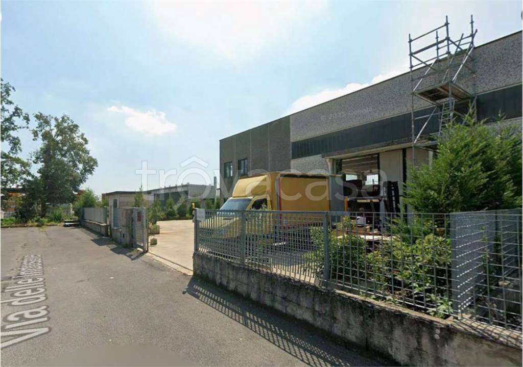 immagine annuncio 4 di 15