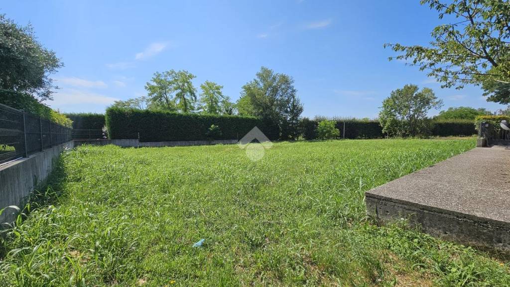 immagine annuncio 4 di 8