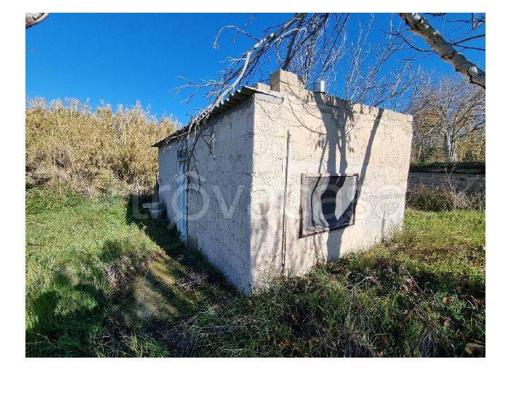 immagine annuncio 6 di 9