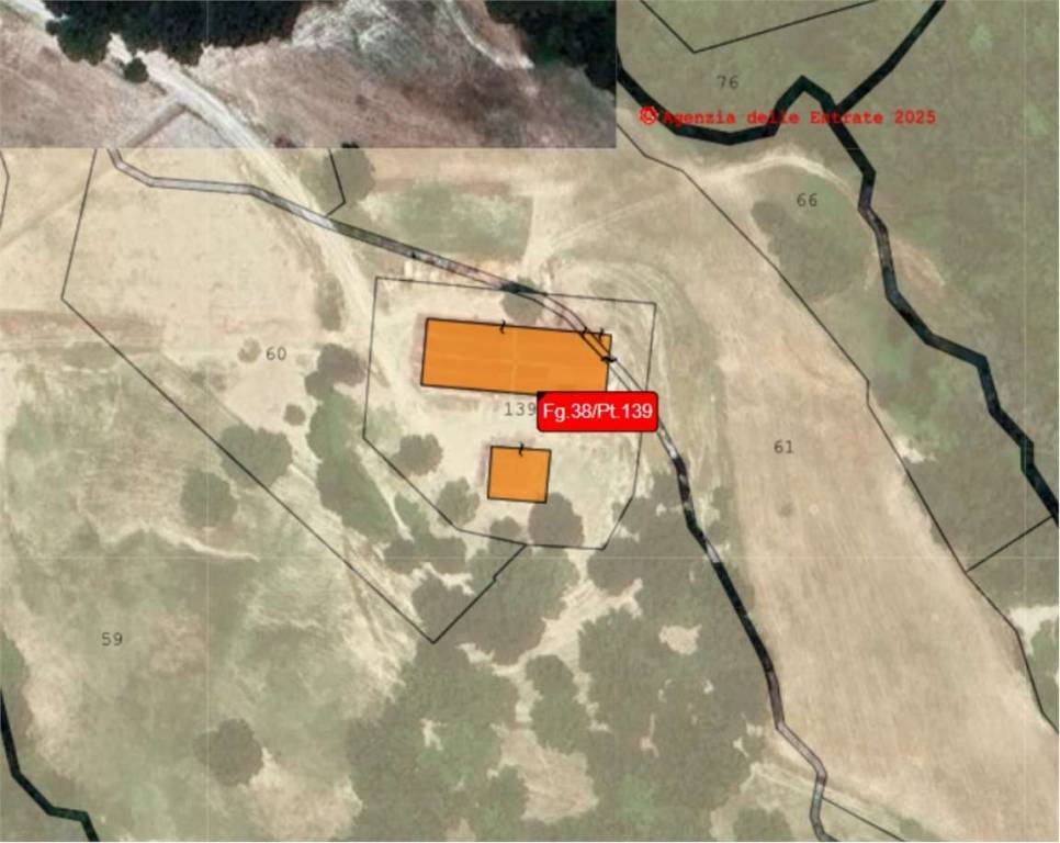 immagine annuncio 9 di 12