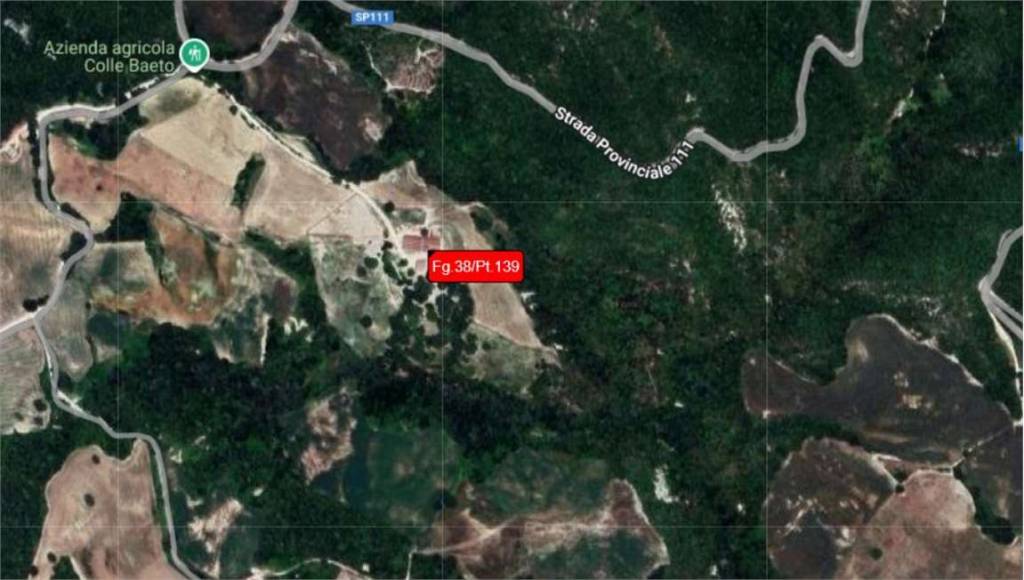 immagine annuncio 10 di 12