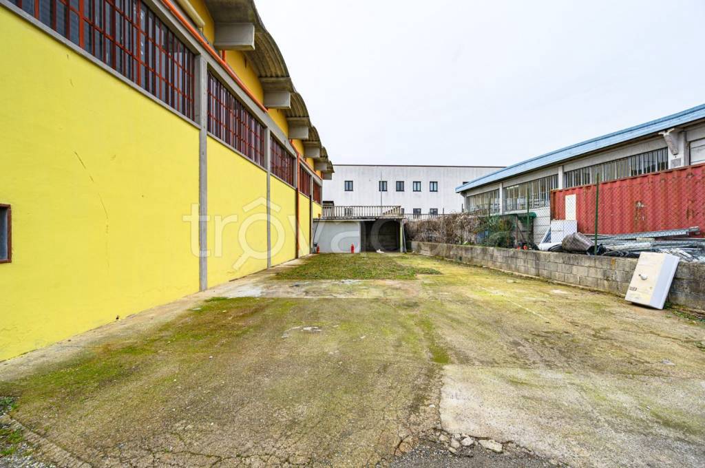 immagine annuncio 14 di 15