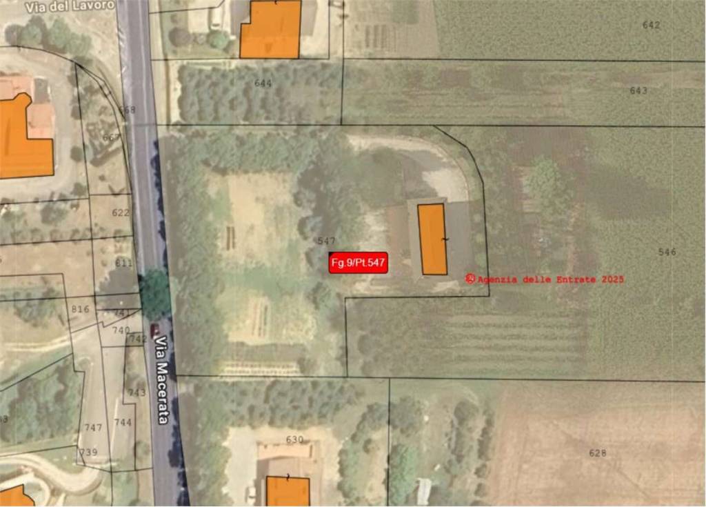 immagine annuncio 7 di 15