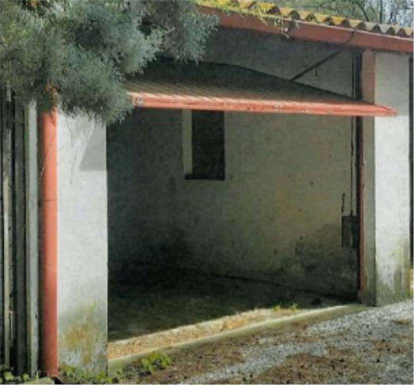 immagine annuncio 6 di 14