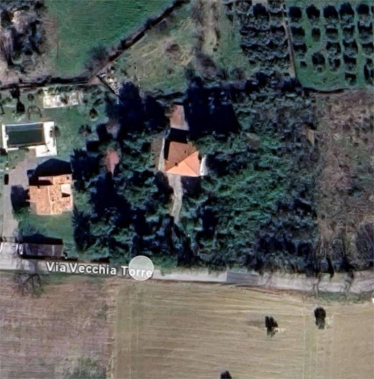 immagine annuncio 10 di 14