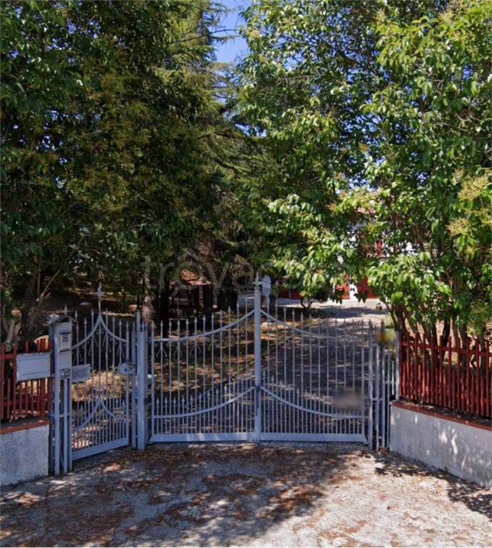 immagine annuncio 11 di 14