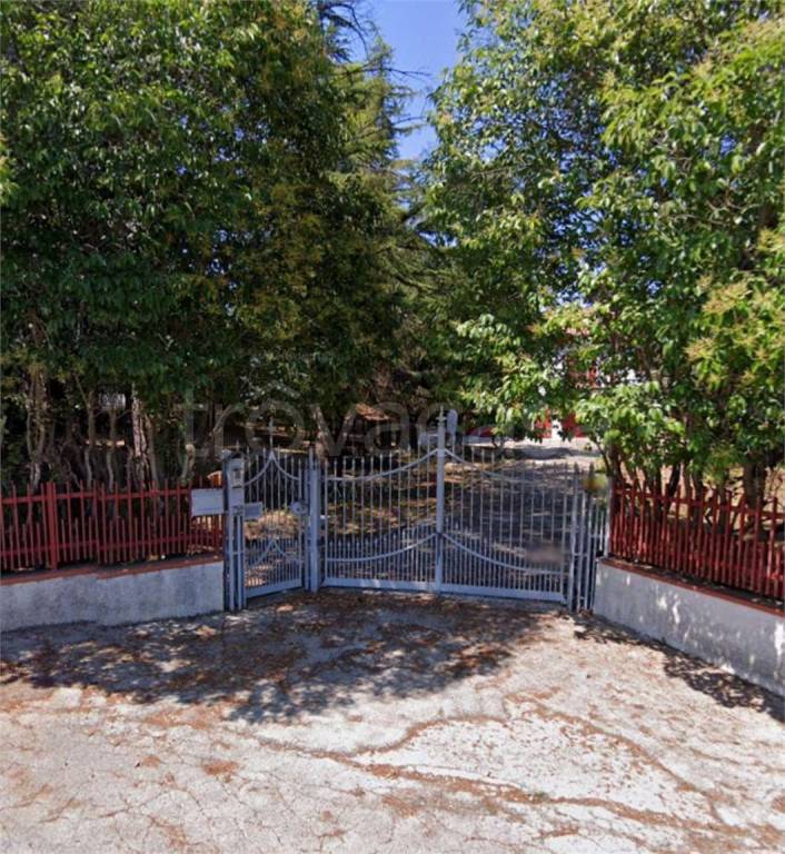 immagine annuncio 12 di 14