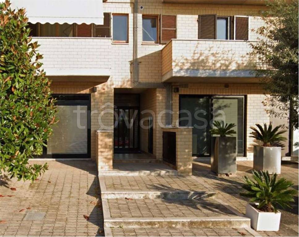 immagine annuncio 8 di 11