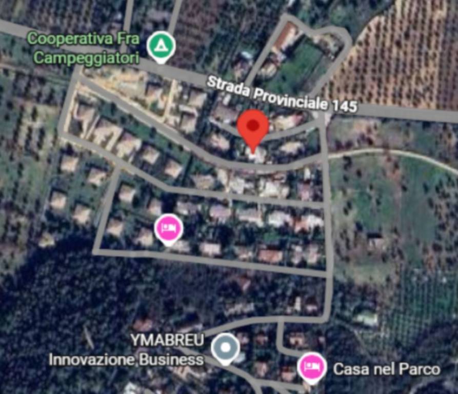 immagine annuncio 3 di 14