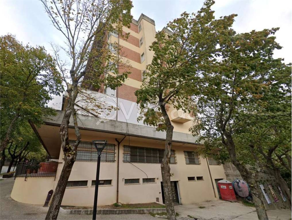 immagine annuncio 6 di 14