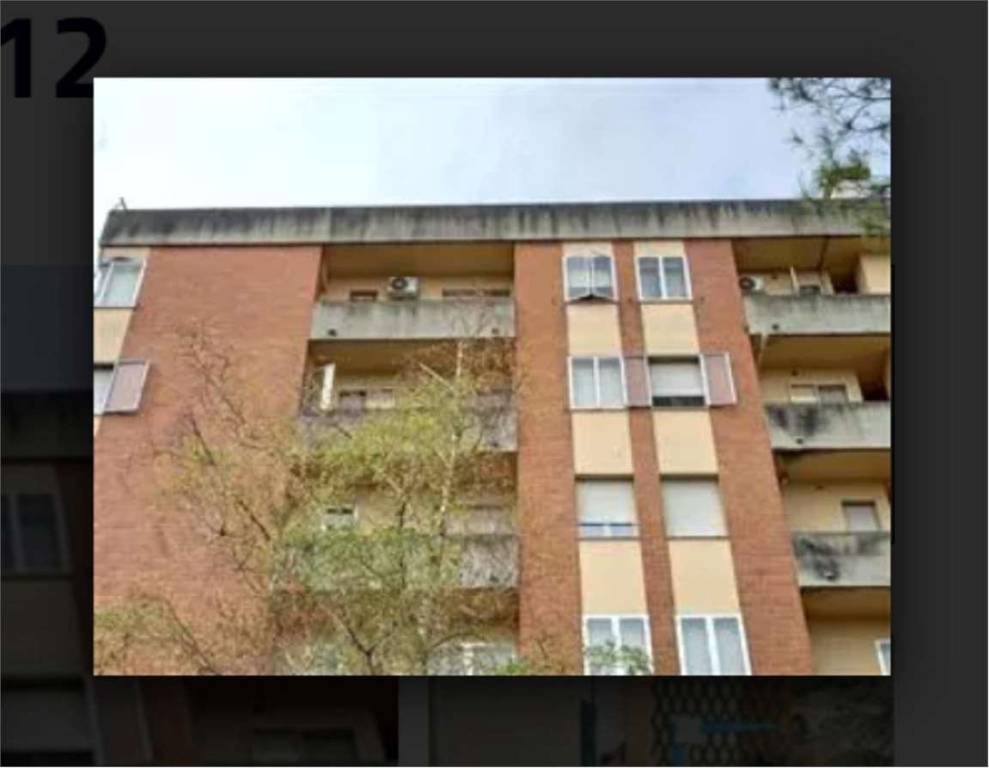 immagine annuncio 7 di 14